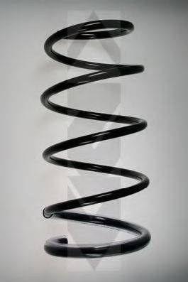 SPIDAN 55613
