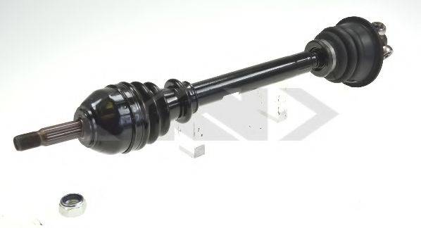 SPIDAN 22031