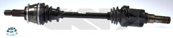 SPIDAN 23279
