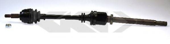 SPIDAN 24504