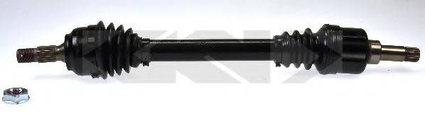 SPIDAN 24516