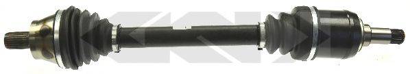SPIDAN 25597