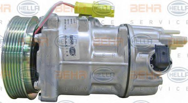 BEHR HELLA SERVICE 8FK 351 316-391