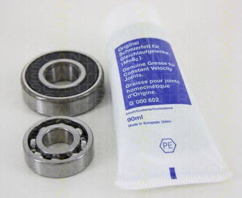 TRISCAN 8530 41207