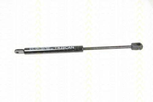TRISCAN 8710 2005