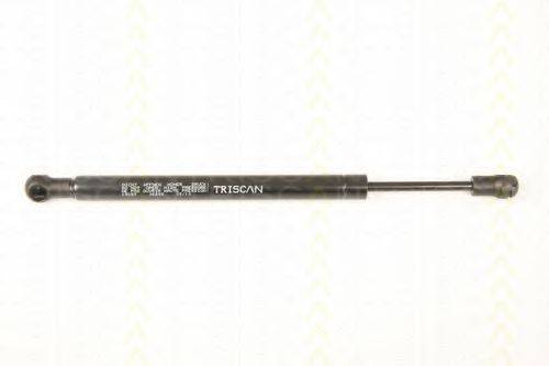 TRISCAN 8710 29285