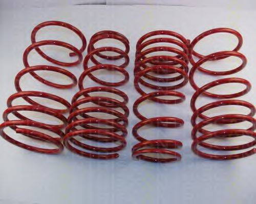TRISCAN 875513006 Комплект ходової частини, пружини