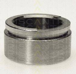 TRISCAN 8170 236004