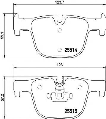 PAGID T2165