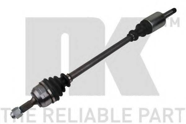 NK 501982