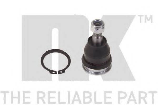 NK 5044538