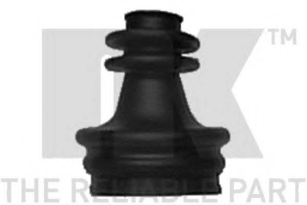 NK 529909