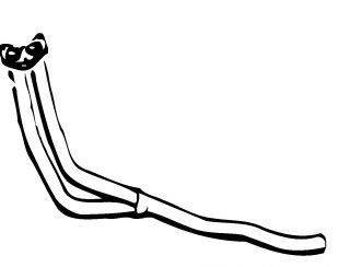 WALKER 01465