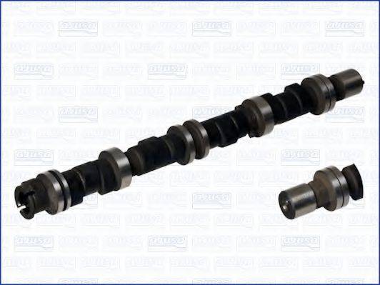 BTS TURBO CP17501 Розподільний вал