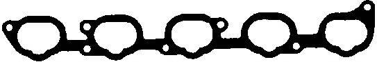 CORTECO 450208P