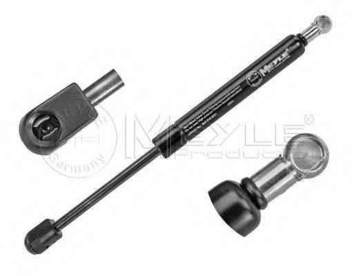 PEX D10818 Газова пружина, кришка багажника
