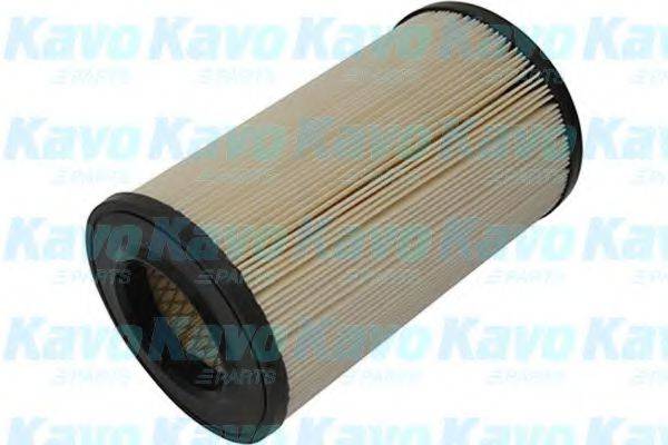 AMC FILTER NA-2623