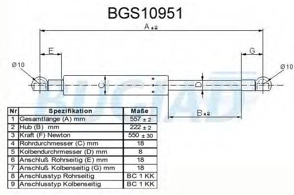 BUGIAD BGS10951