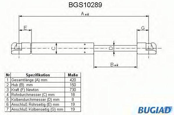 BUGIAD BGS10289