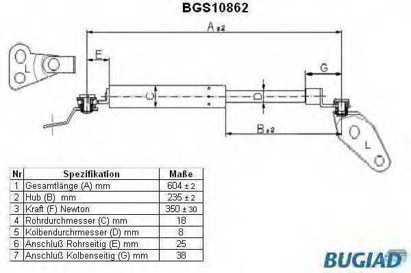 BUGIAD BGS10861
