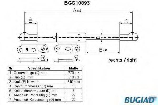 BUGIAD BGS10893