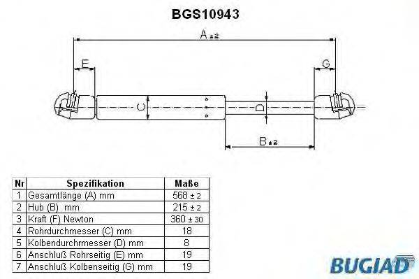 BUGIAD BGS10943