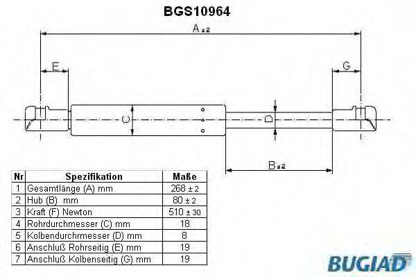 BUGIAD BGS10964