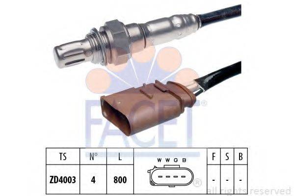 FACET 10.8055