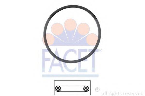 FACET 7.9566