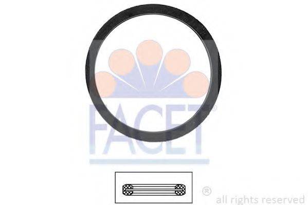 FACET 7.9568
