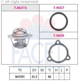 FACET 7.8631