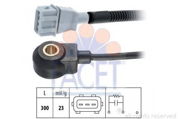 FACET 9.3124