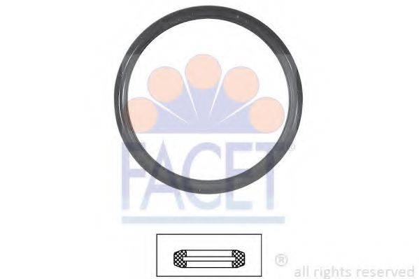 FACET 7.9547