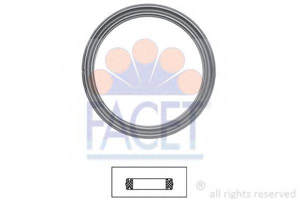 FACET 7.9610