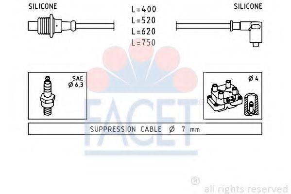 FACET 4.8674