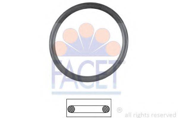 FACET 7.9551