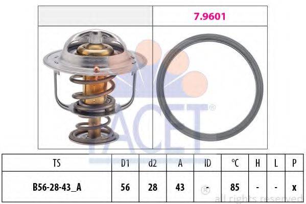 FACET 7.8398