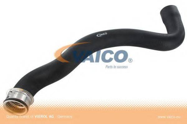VAICO V30-1655