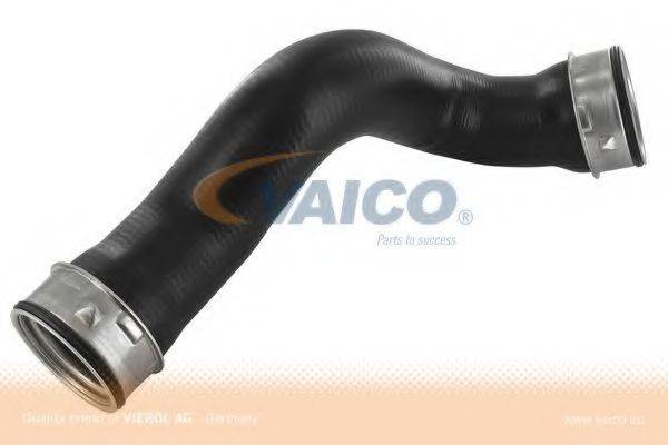 VAICO V30-1779