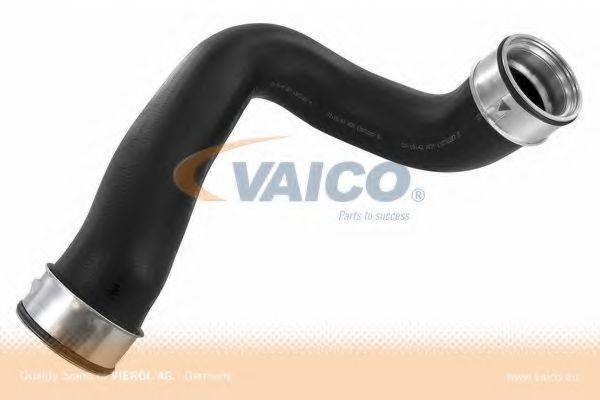 VAICO V30-1784