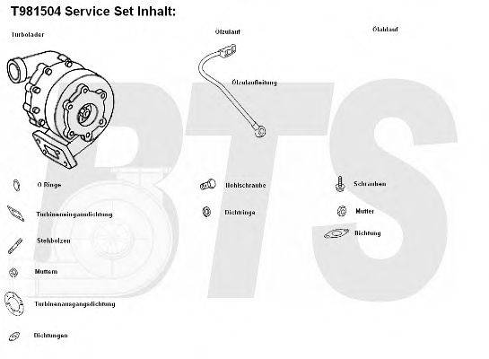 BTS TURBO T912035 Компресор наддув