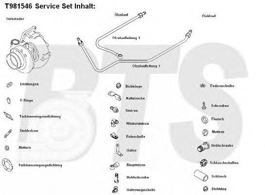 BTS TURBO T981546 Компресор наддув