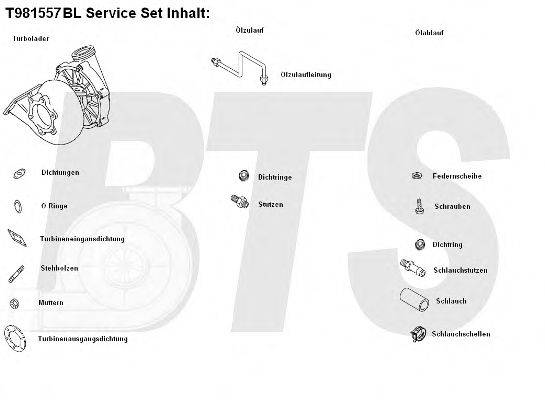 BTS TURBO T981557BL Компресор наддув