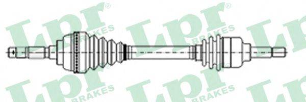 LPR DS10010