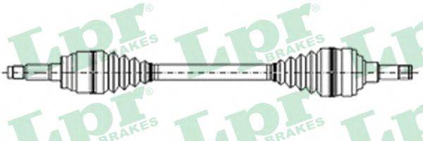 LPR DS19011