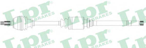 LPR DS38036