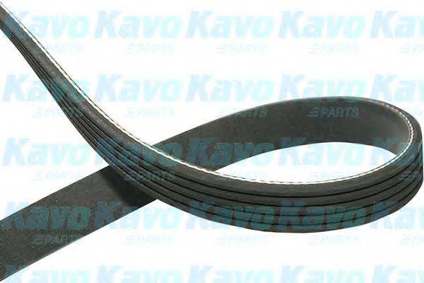 KAVO PARTS DMV-9051