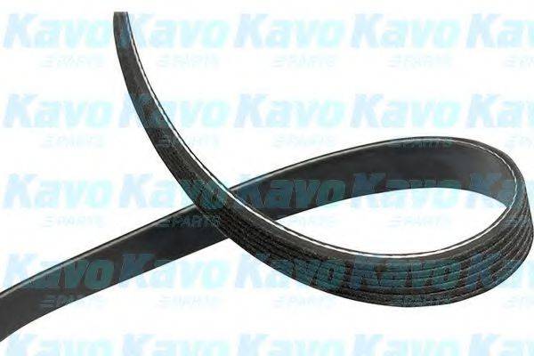 KAVO PARTS DMV-1539