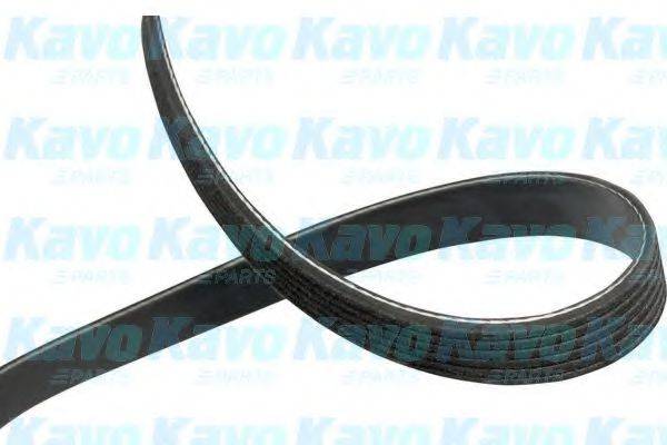 KAVO PARTS DMV-4550