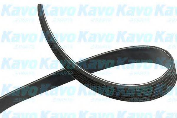 KAVO PARTS DMV-5548